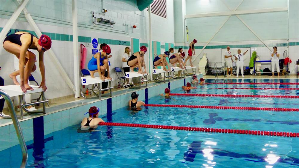 a group of people swimming at a swimming club