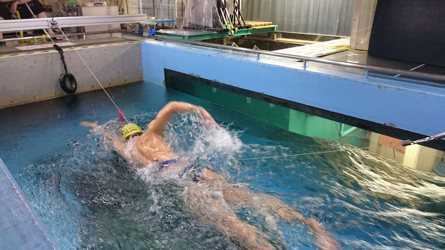 Fluid Dynamics: The Science and Art of Swimming Efficiency