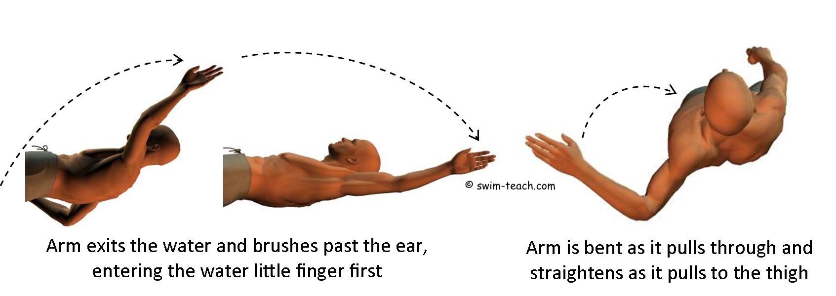 Detailed Instructions for Proper Backstroke Form